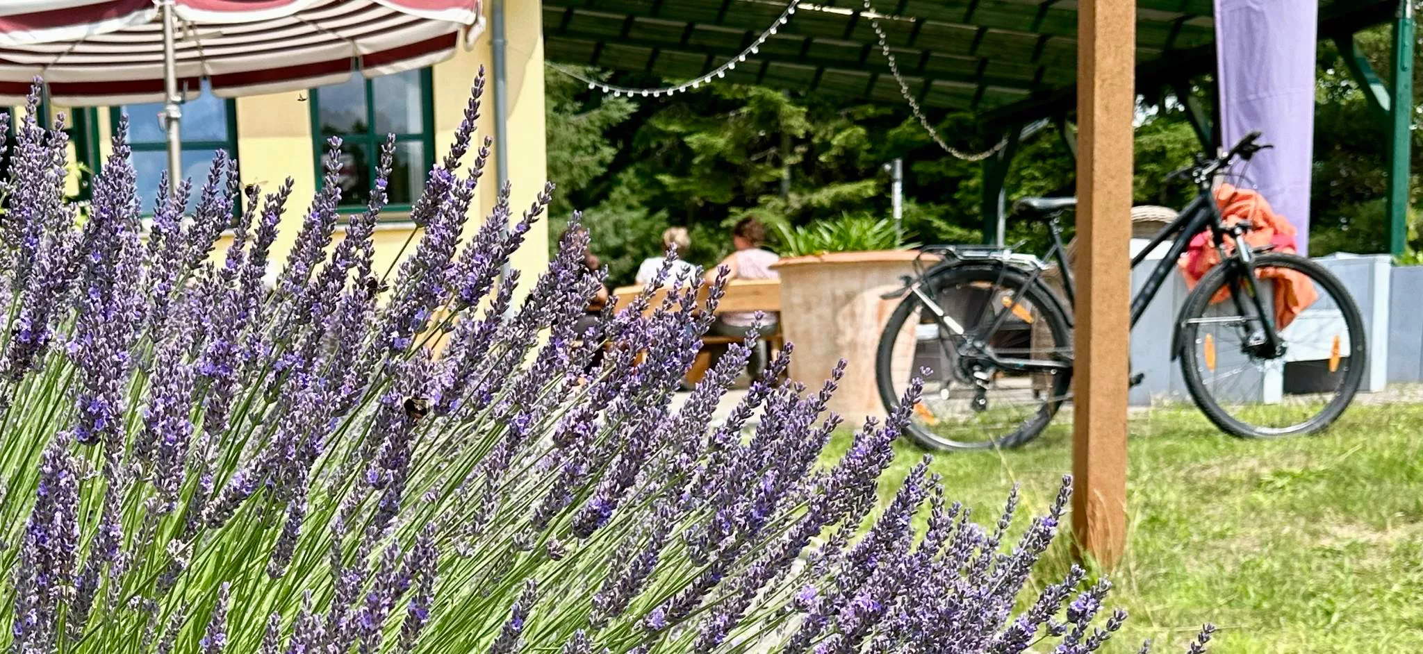 Terrasse  Café Lavender Naturerlebnispark Mühlenhagen