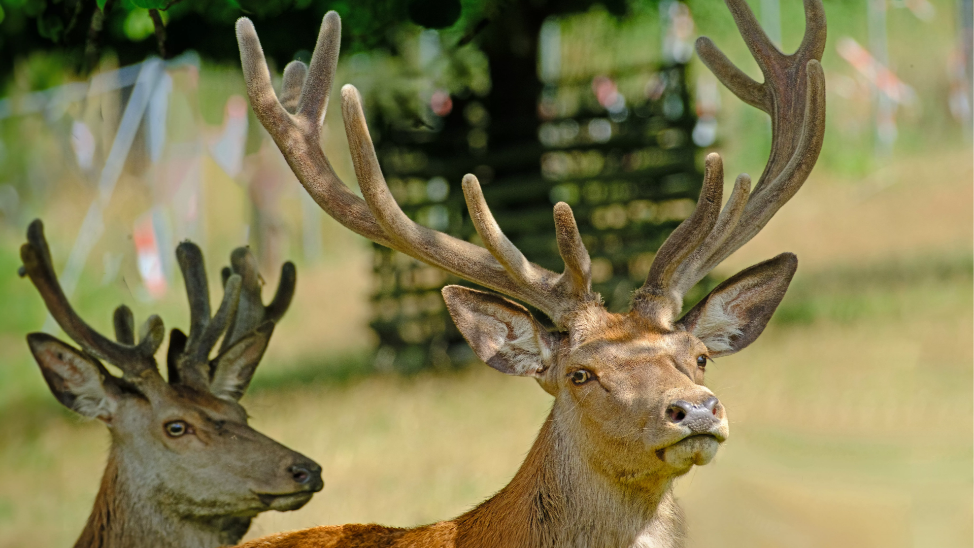 Erlebnisse Naturerlebnispark Mühlenhagen