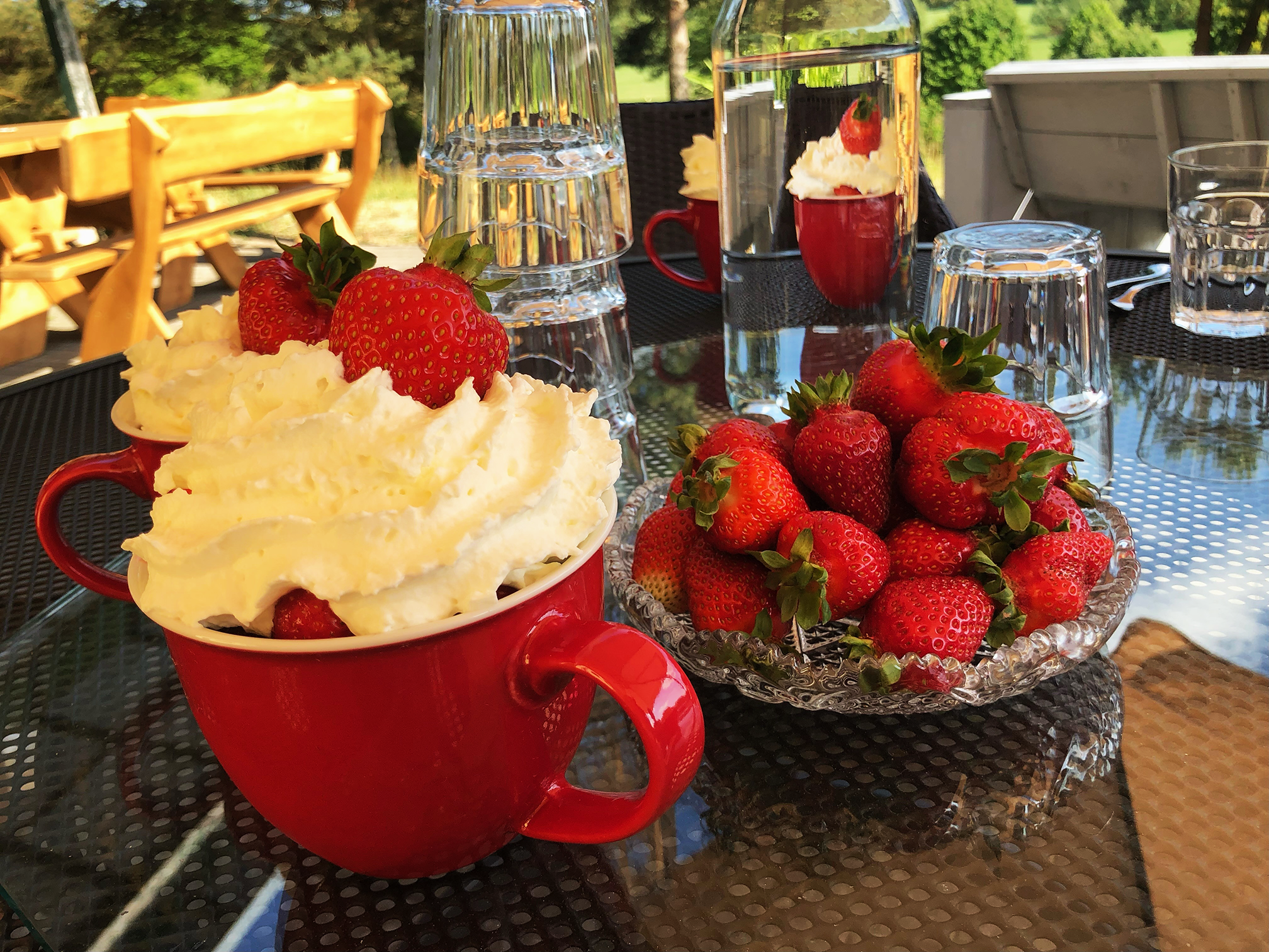 Naturerlebnispark-Cafe-Lavender-Erdbeeren