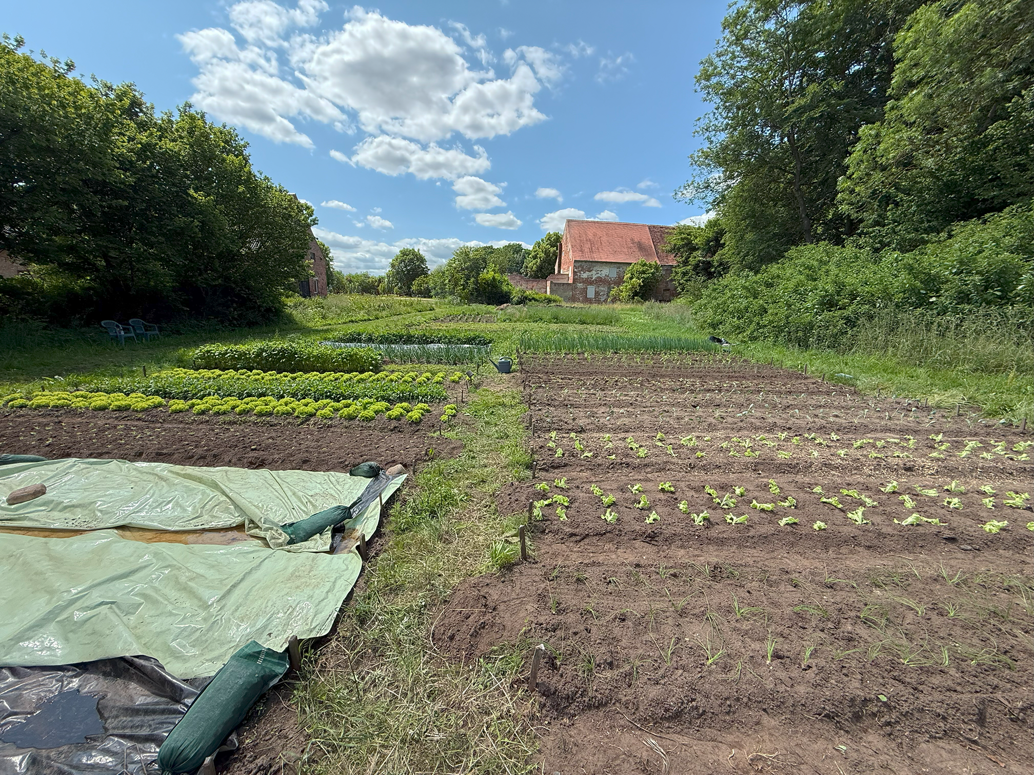 Naturerlebnispark-Garten-Beete