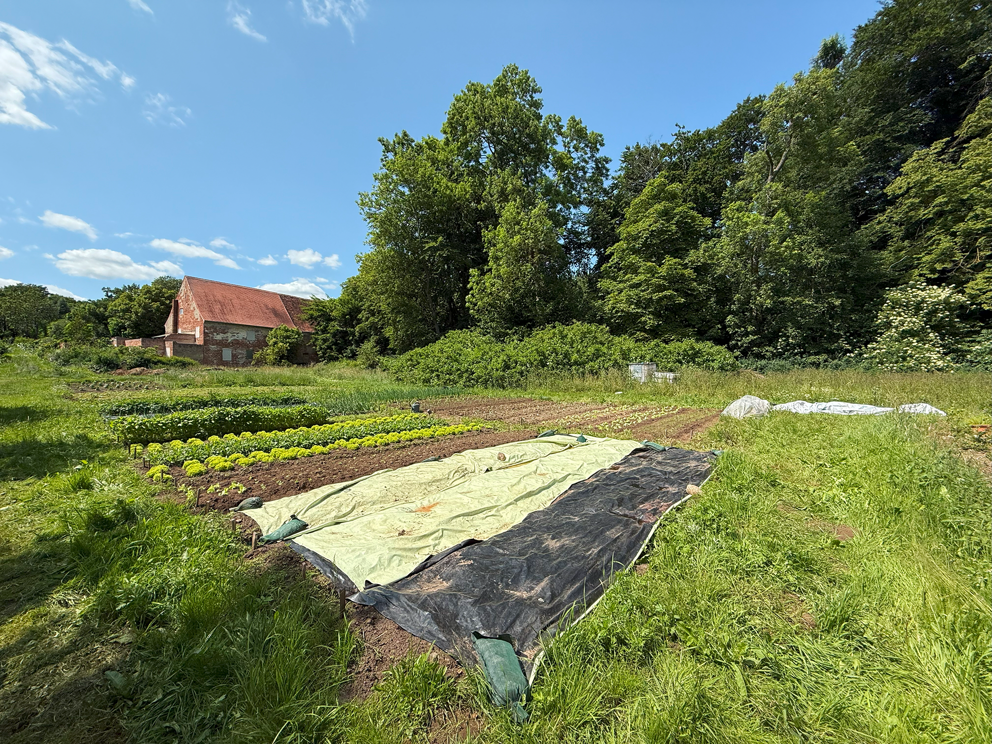 Naturerlebnispark-Garten-Mühle