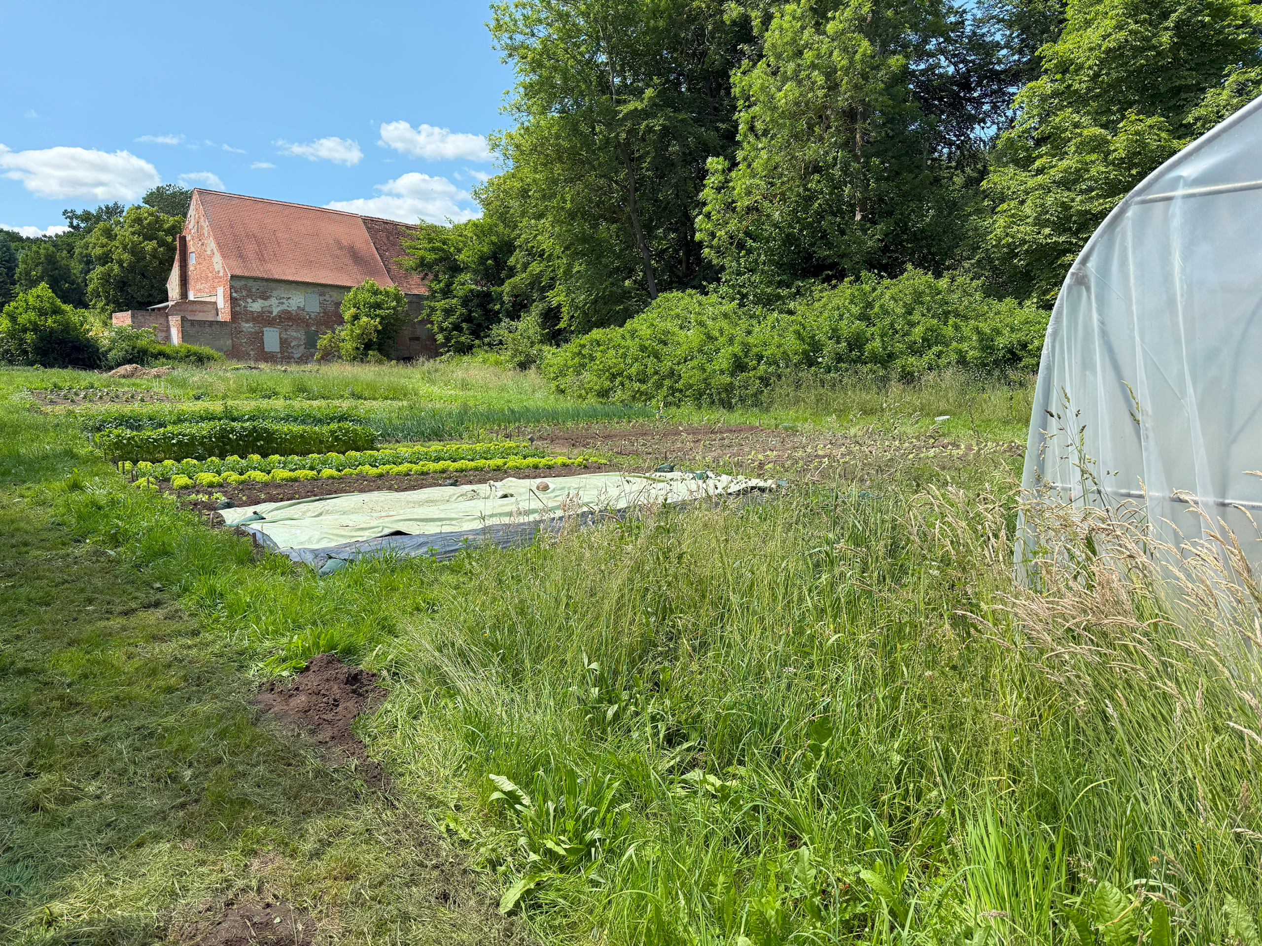 Naturerlebnispark-Garten